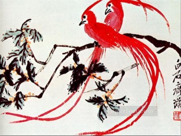 Qi Baishi birds of paradise traditional Chinese Oil Paintings
